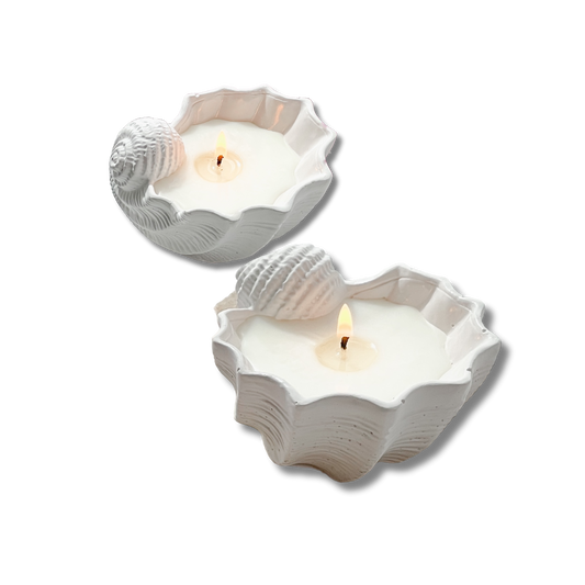 BABY CONCH SHELL CANDLE